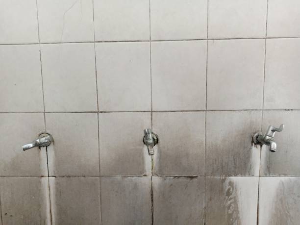 Best Water damage contractors near me  in Fort Totten, ND