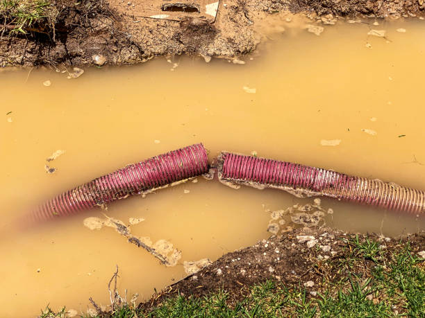 Best Flood damage cleanup  in Fort Totten, ND